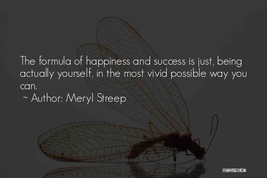 Success Formula Quotes By Meryl Streep