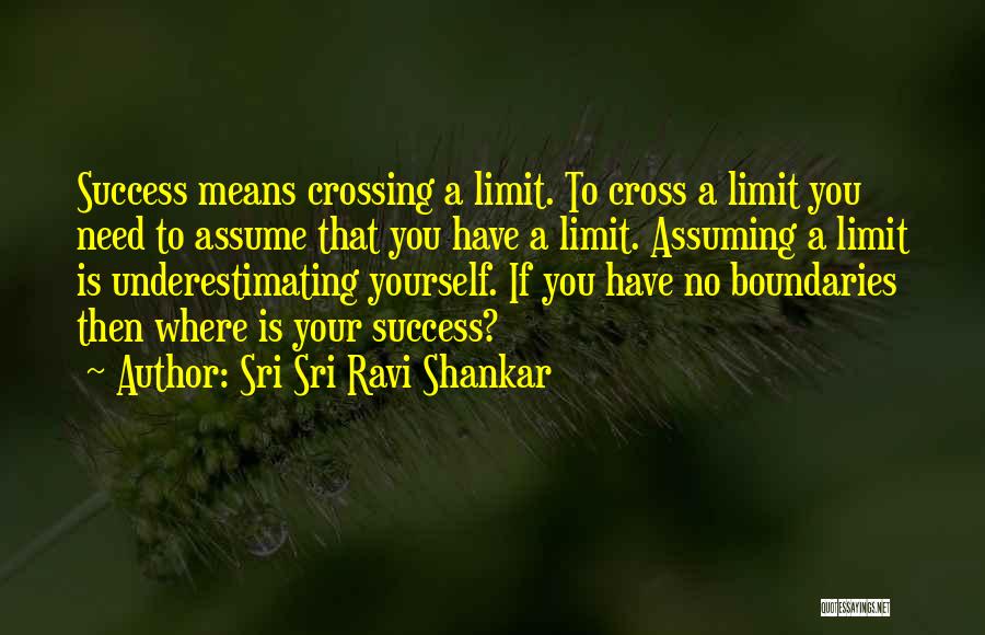 Success Has No Limits Quotes By Sri Sri Ravi Shankar