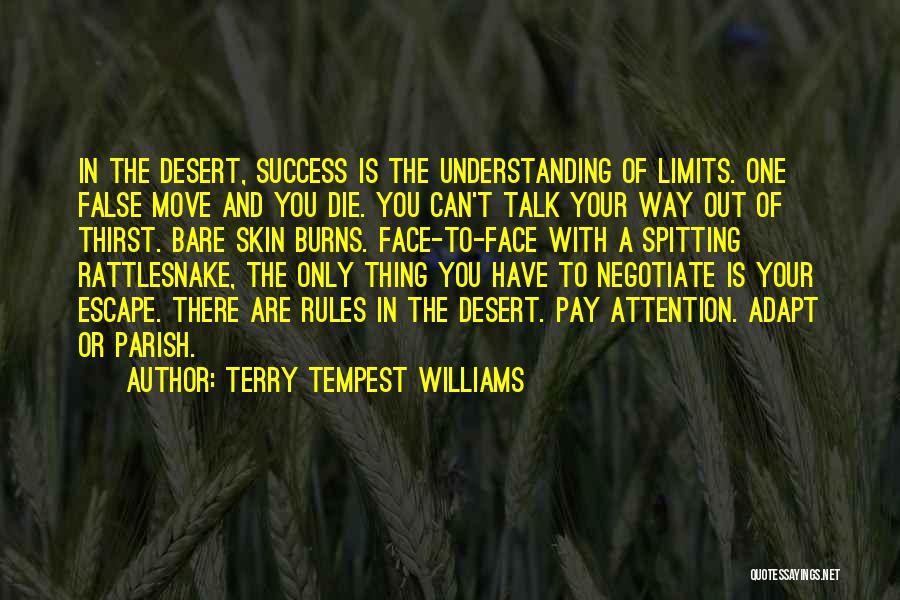 Success Has No Limits Quotes By Terry Tempest Williams