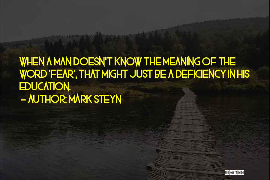 Success In Education Quotes By Mark Steyn
