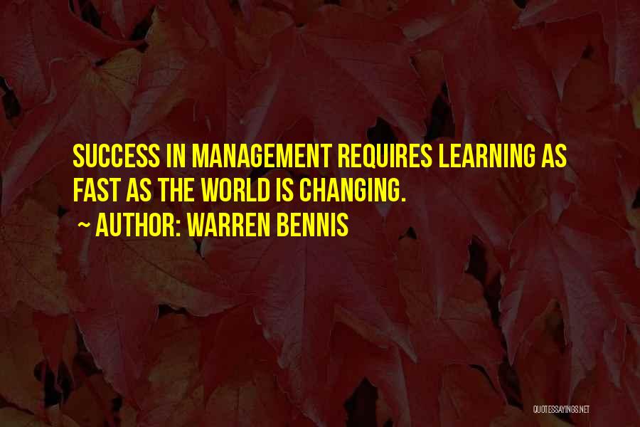 Success In The World Quotes By Warren Bennis