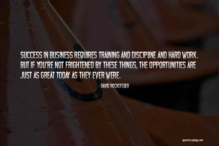 Success In Training Quotes By David Rockefeller