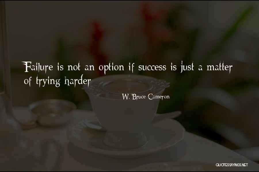 Success Is Failure Quotes By W. Bruce Cameron