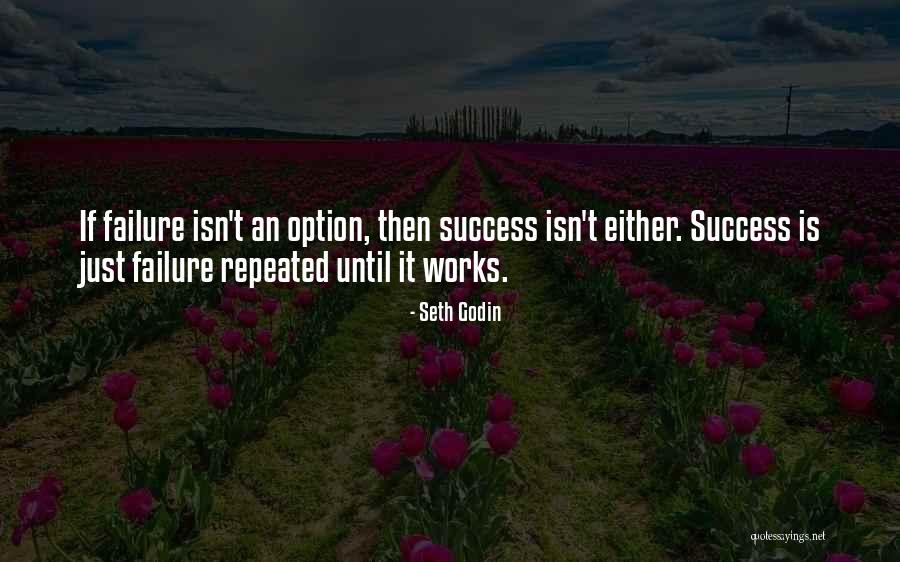 Success Is My Only Option Failure's Not Quotes By Seth Godin