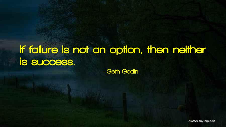 Success Is My Only Option Failure's Not Quotes By Seth Godin