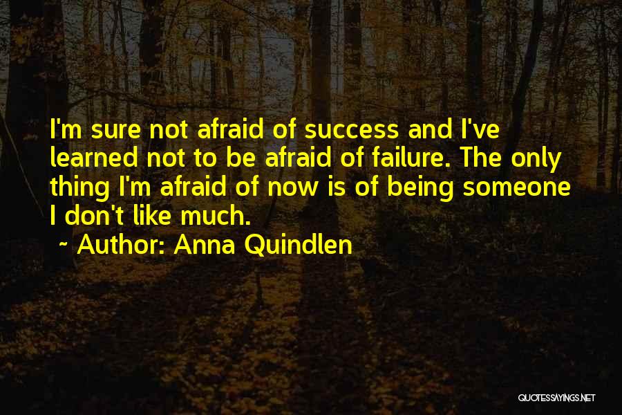 Success Is Sure Quotes By Anna Quindlen