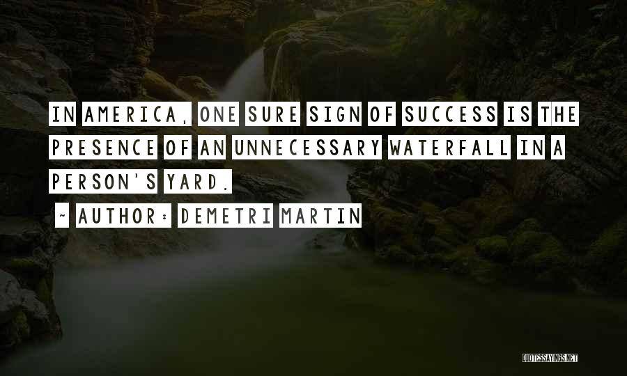 Success Is Sure Quotes By Demetri Martin