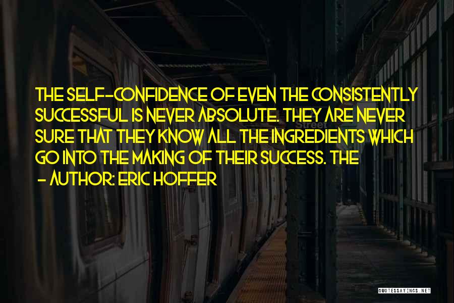 Success Is Sure Quotes By Eric Hoffer