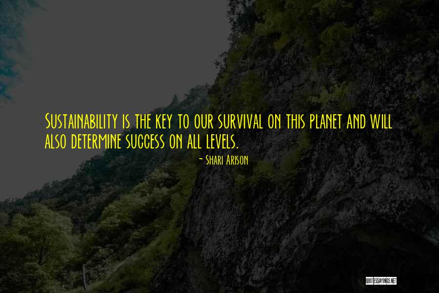 Success Is The Key Quotes By Shari Arison