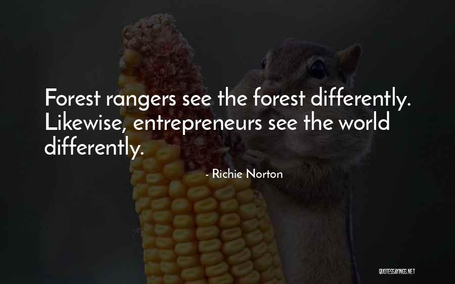Success Marketing Quotes By Richie Norton Success Marketing Quotes By Richie Norton