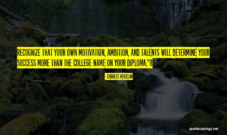 Success On Your Own Quotes By Charles Wheelan Success On Your Own Quotes By Charles Wheelan