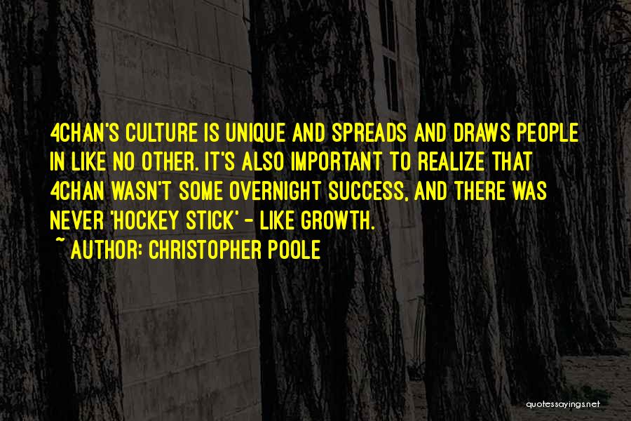 Success Overnight Quotes By Christopher Poole