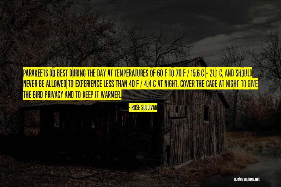 Success Peoples Quotes By Rose Sullivan Success Peoples Quotes By Rose Sullivan