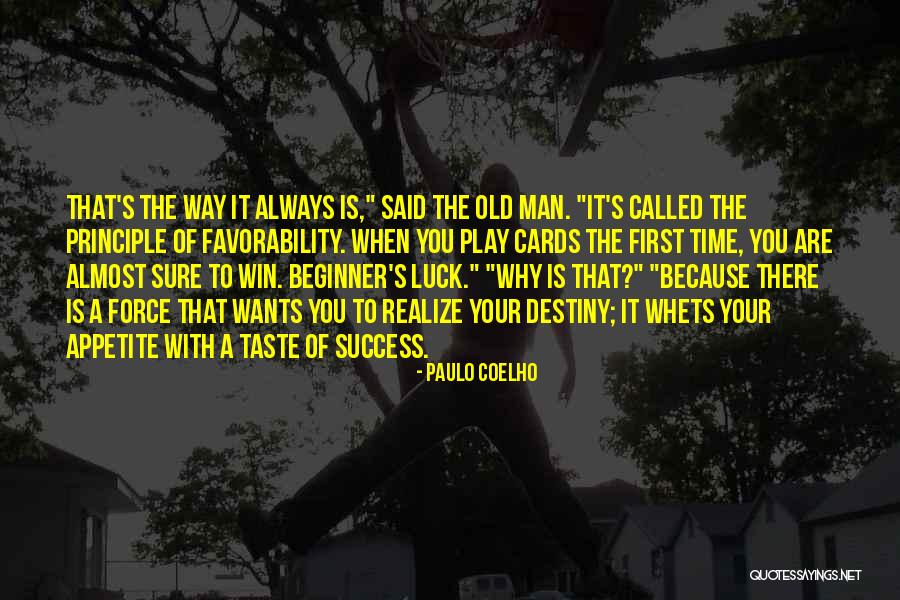 Success Principle Quotes By Paulo Coelho Success Principle Quotes By Paulo Coelho