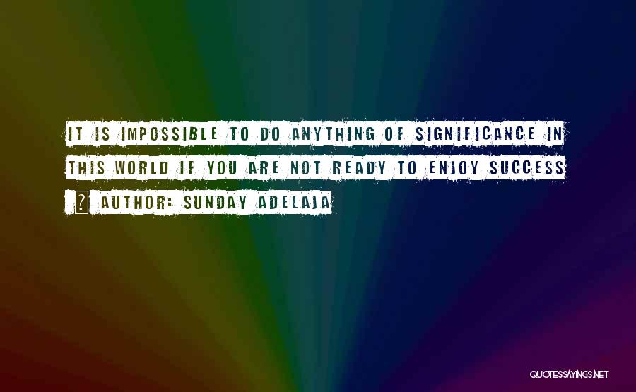 Success Significance Quotes By Sunday Adelaja