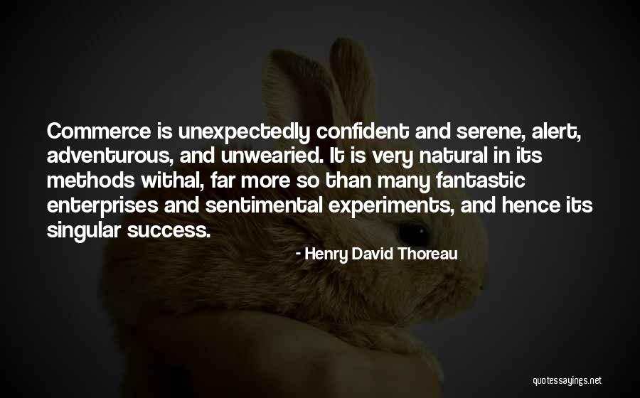 Success Thoreau Quotes By Henry David Thoreau