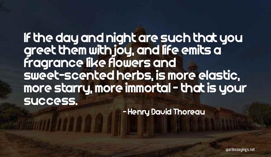 Success Thoreau Quotes By Henry David Thoreau