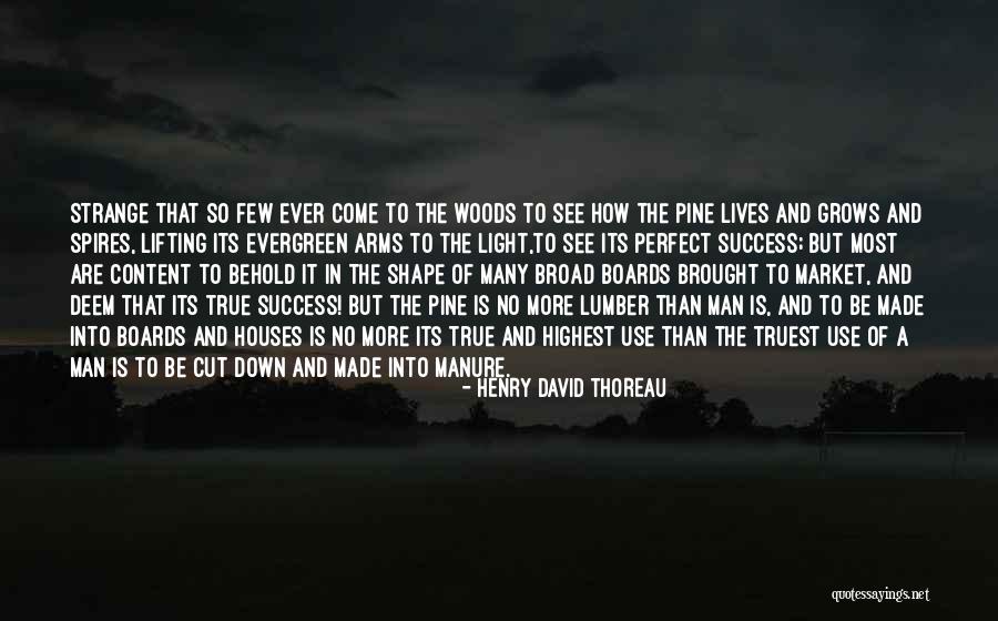 Success Thoreau Quotes By Henry David Thoreau