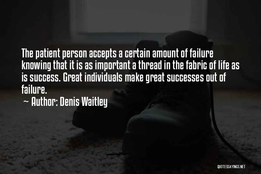 Successes In Life Quotes By Denis Waitley