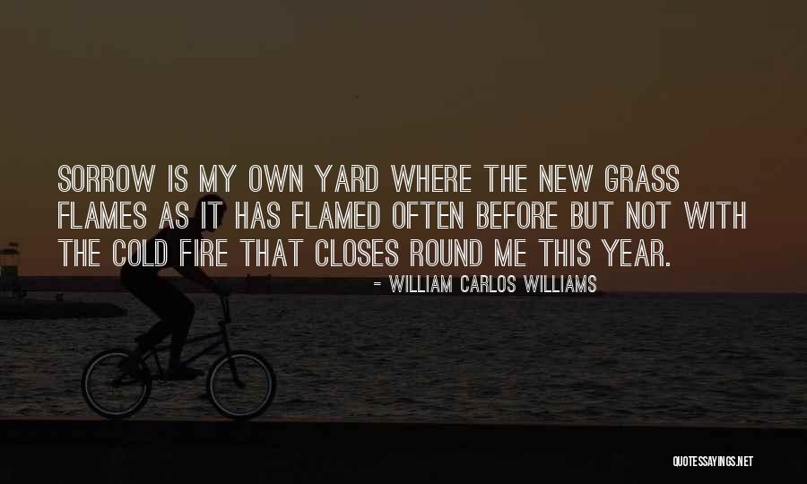 Successess Quotes By William Carlos Williams Successess Quotes By William Carlos Williams