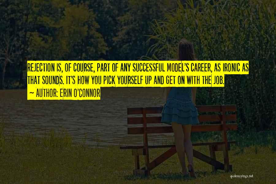 Successful Career Quotes By Erin O'Connor