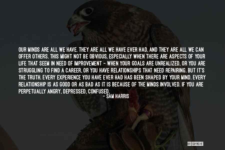 Successful Goals Quotes By Sam Harris Successful Goals Quotes By Sam Harris
