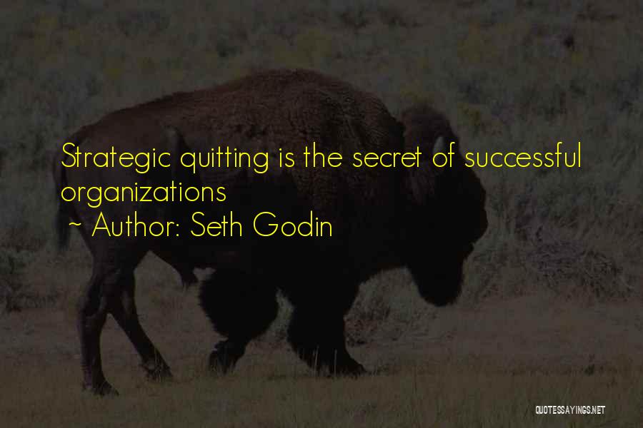 Successful Organizations Quotes By Seth Godin