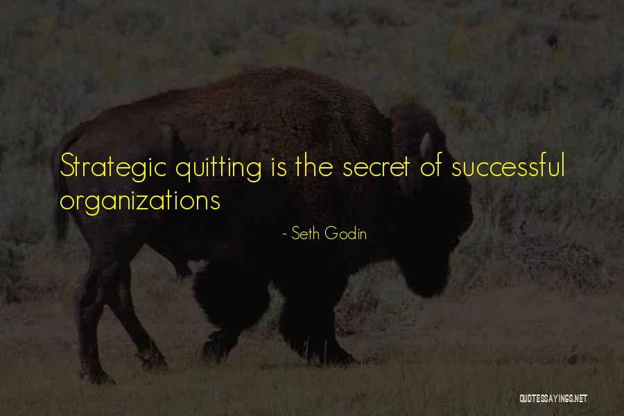 Successful Organizations Quotes By Seth Godin