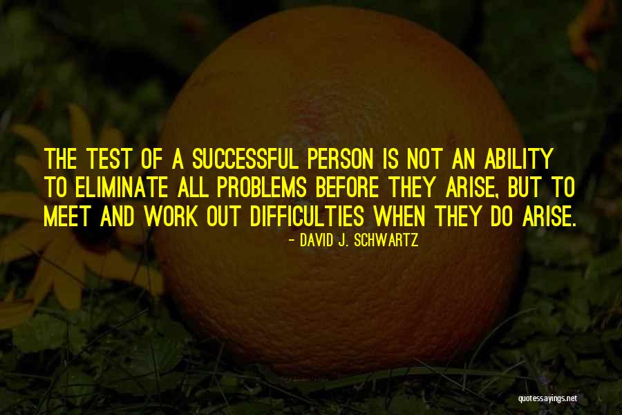 Successful Person Quotes By David J. Schwartz