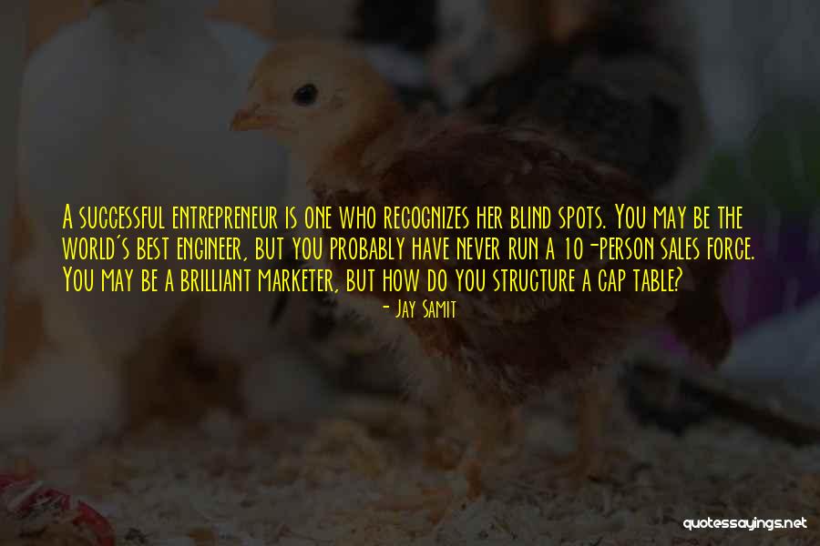 Successful Person Quotes By Jay Samit Successful Person Quotes By Jay Samit