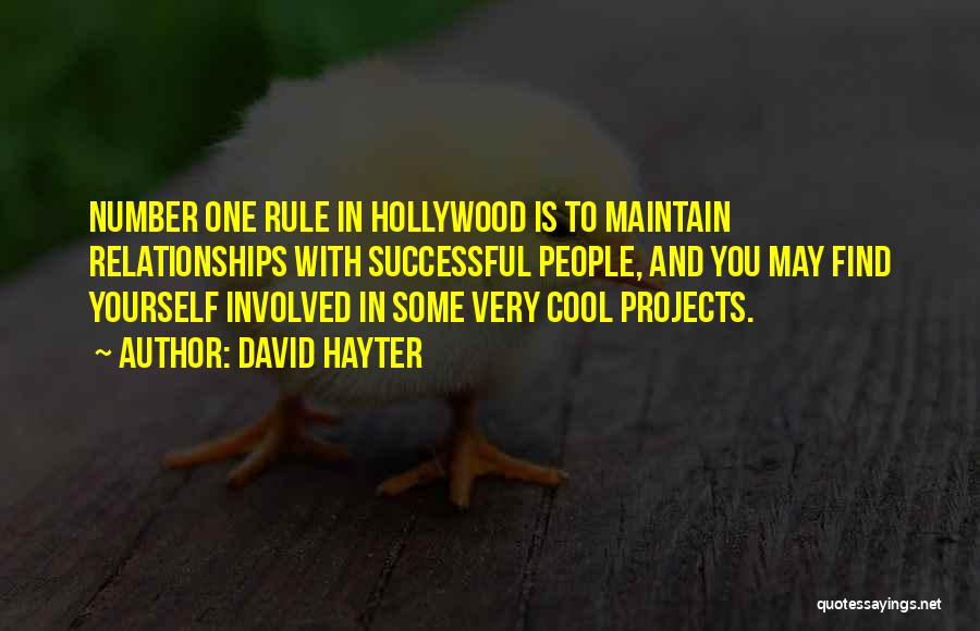 Successful Projects Quotes By David Hayter