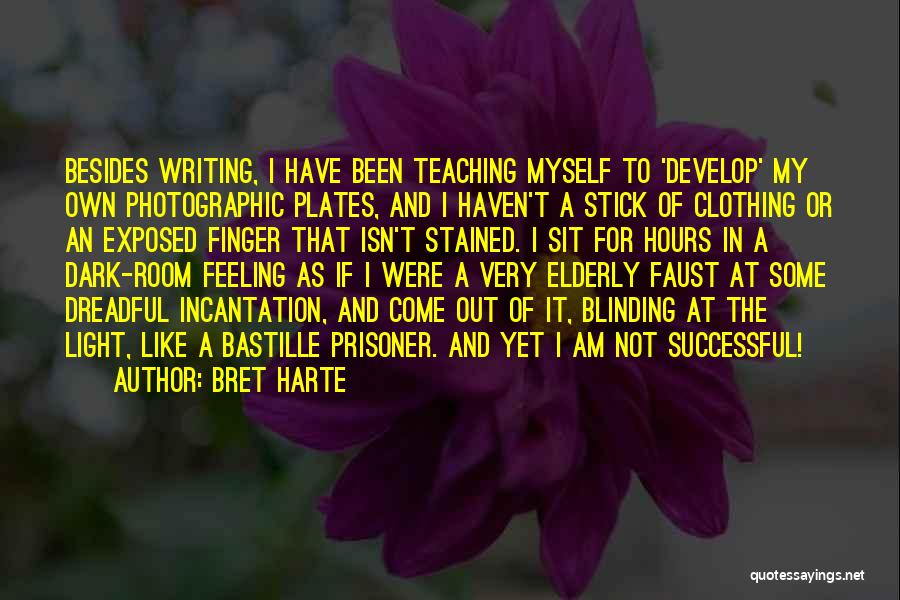 Successful Teaching Quotes By Bret Harte