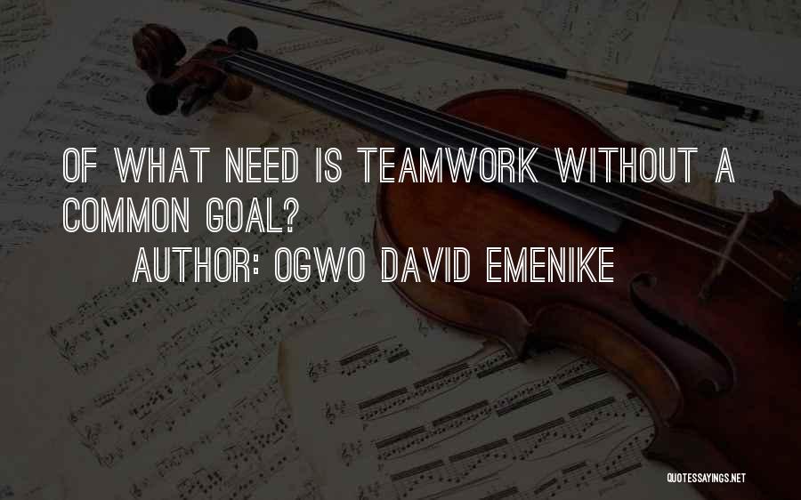 Successful Teamwork Quotes By Ogwo David Emenike