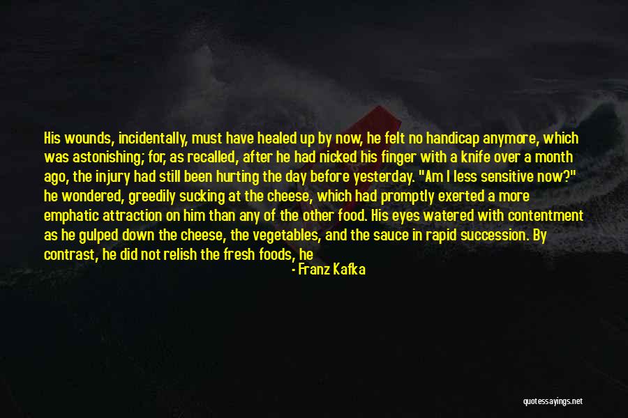 Succession Quotes By Franz Kafka