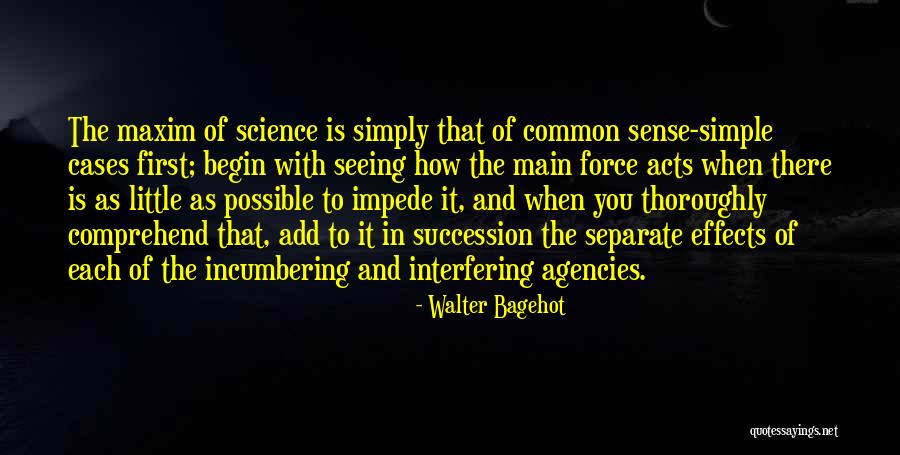 Succession Quotes By Walter Bagehot