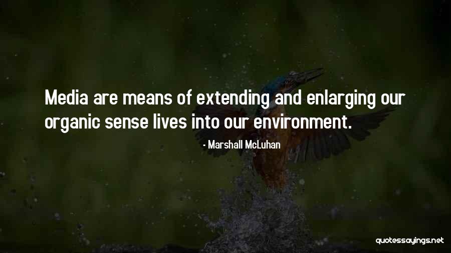 Successivement En Quotes By Marshall McLuhan Successivement En Quotes By Marshall McLuhan