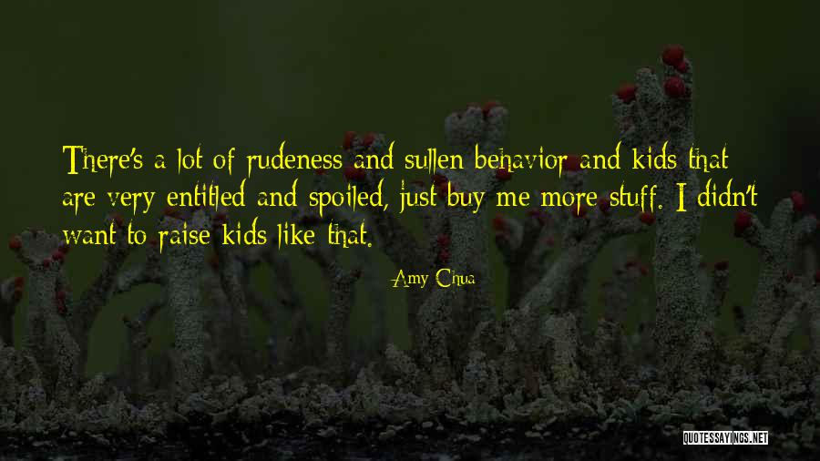 Successmaker Quotes By Amy Chua Successmaker Quotes By Amy Chua