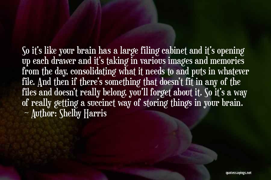 Succinct Quotes By Shelby Harris