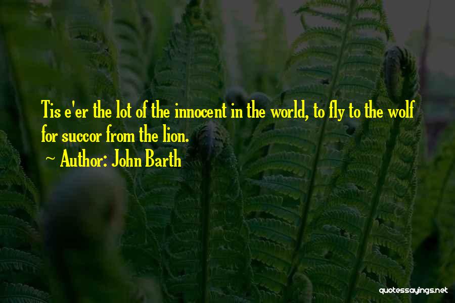 Succor Quotes By John Barth