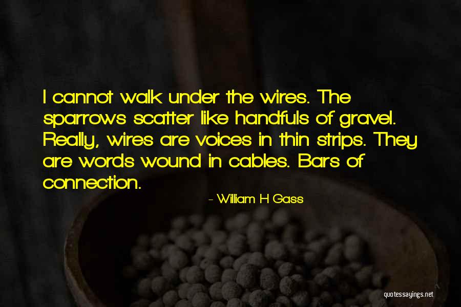 Succor Synonym Quotes By William H Gass Succor Synonym Quotes By William H Gass