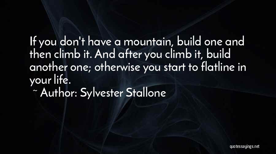 Succoured Pronunciation Quotes By Sylvester Stallone