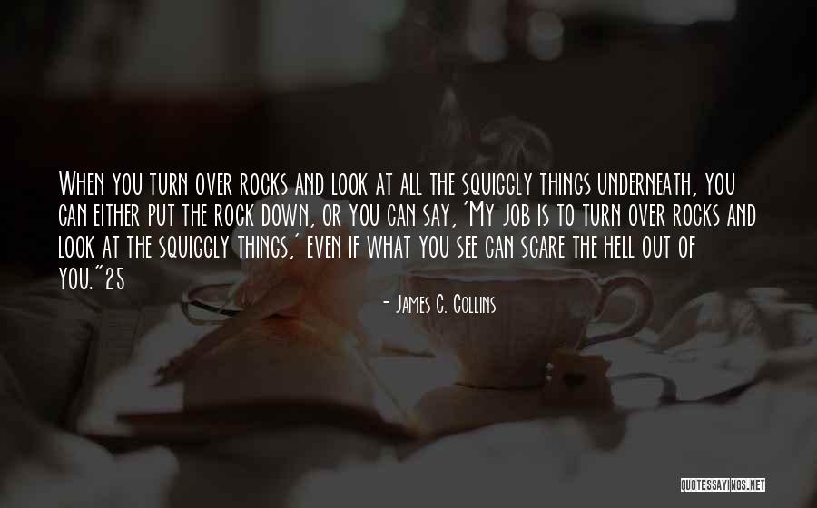 Succubus Revealed Quotes By James C. Collins Succubus Revealed Quotes By James C. Collins