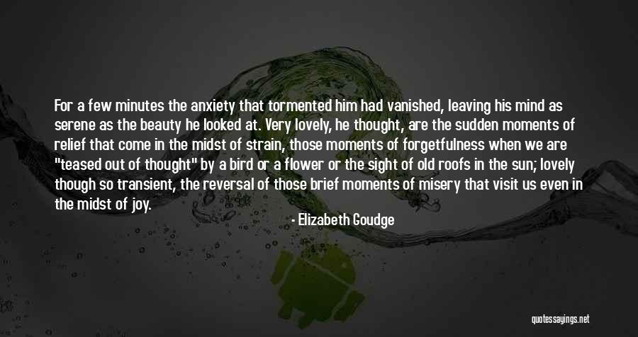 Succulence Walkthrough Quotes By Elizabeth Goudge Succulence Walkthrough Quotes By Elizabeth Goudge