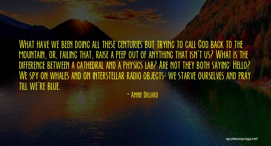 Suceden Quotes By Annie Dillard Suceden Quotes By Annie Dillard
