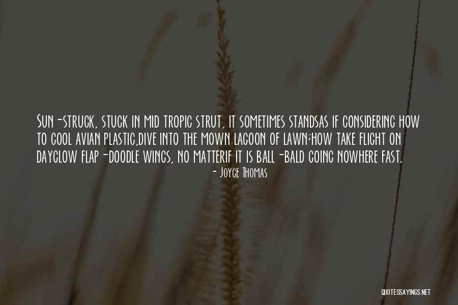 Suceder Definicion Quotes By Joyce Thomas Suceder Definicion Quotes By Joyce Thomas