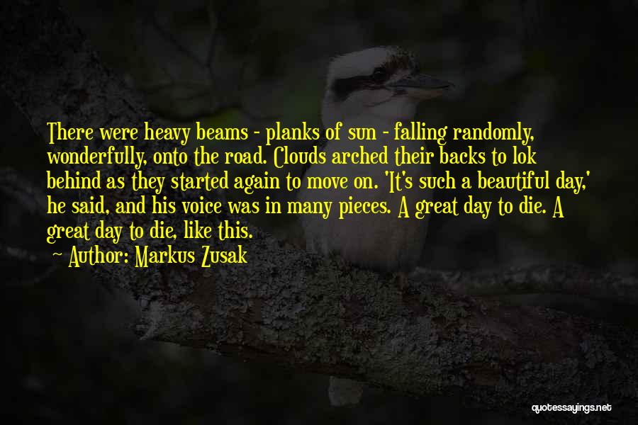 Such A Beautiful Day Quotes By Markus Zusak