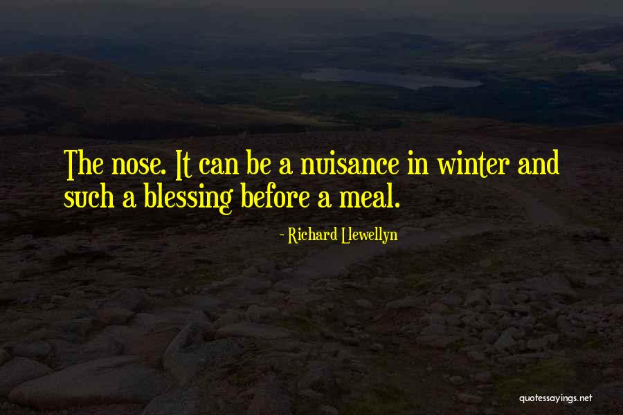 Such A Blessing Quotes By Richard Llewellyn Such A Blessing Quotes By Richard Llewellyn