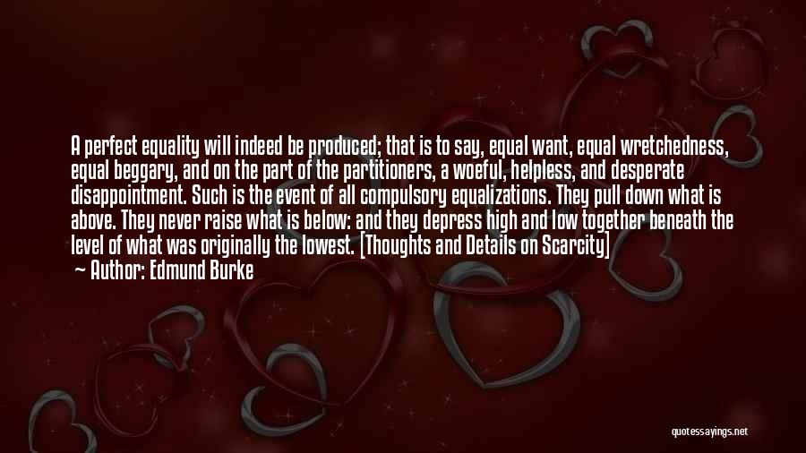 Such A Disappointment Quotes By Edmund Burke