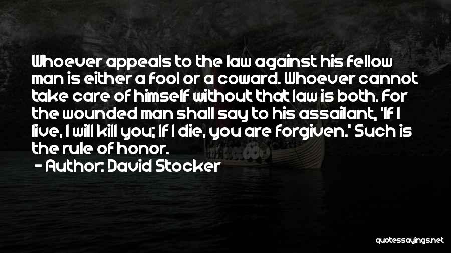 Such A Fool Quotes By David Stocker