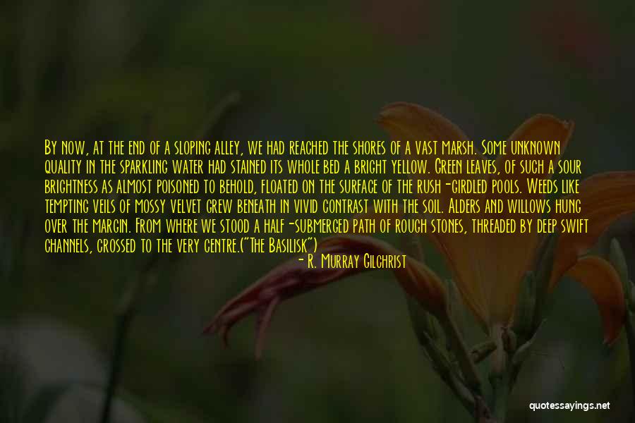 Such A Rush Quotes By R. Murray Gilchrist Such A Rush Quotes By R. Murray Gilchrist